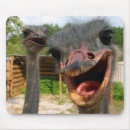 Zoek naar struisvogel muismatten Vogels