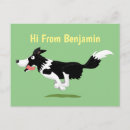 Zoek naar border collie briefkaarten Grappig
