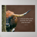 Zoek naar koe posters Texas