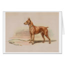 Zoek naar miniature pinscher kaarten Min speld