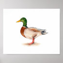 Zoek naar wilde vogel posters Elegant