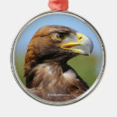 Zoek naar eagle ornamenten Roofvogel