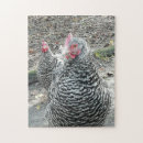 Zoek naar kippen puzzels Voor hem/haar