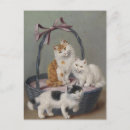 Zoek naar vintage katten briefkaarten Voor iedereen