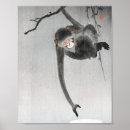 Zoek naar aap posters Dier