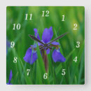 Zoek naar iris tuin klokken Natuur