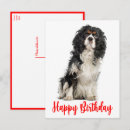 Zoek naar cavalier king charles spaniel puppy posters Hondenliefhebber
