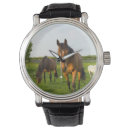 Zoek naar paarden horloges Bruin paard