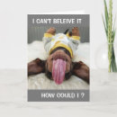 Zoek naar laat honden verjaardagskaarten Vriend