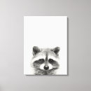 Zoek naar wasberen kunst Wasbeer