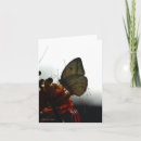 Zoek naar eenzaamheid kaarten Foto