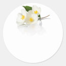Zoek naar macro stickers Bladeren