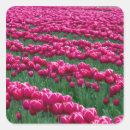 Zoek naar tuinen stickers Bloem