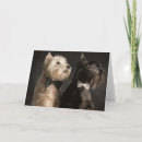Zoek naar scottie hond kaarten Doodsbang
