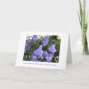 Zoek naar klokbloem kaarten Campanula