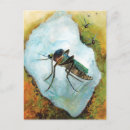 Zoek naar mosquito briefkaarten Muggen