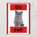 Zoek naar afbeeldingen katten kaarten Voor kinderen
