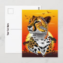 Zoek naar jachtluipaarden briefkaarten Wild dier