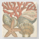 Zoek naar kevers onderzetters Natuur