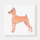 Zoek naar miniatuur magneten Puppy