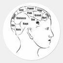 Zoek naar menselijke anatomie stickers Schedel