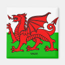 Zoek naar wales vlag magneten Draak