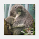 Zoek naar baby koala magneten Moeder