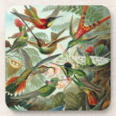 Zoek naar kolibrie onderzetters Vleugels