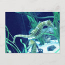 Zoek naar seahorse briefkaarten Dieren
