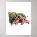 Zoek naar schaaldieren posters Nautisch