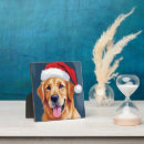 Zoek naar kerstman fotoplaat Vakantie