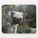 Zoek naar headshot muismatten Pug