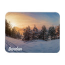 Zoek naar bevroren magneten Zee