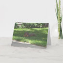 Zoek naar saxofoon verjaardagskaarten Jazz