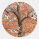 Zoek naar rode baksteen stickers Muur