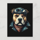 Zoek naar pitbull briefkaarten Vintage