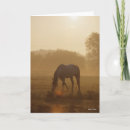 Zoek naar bob kaarten Grazen