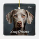 Zoek naar weimaraner ornamenten Kerstmis