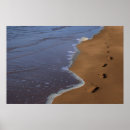 Zoek naar rimpels posters Strand