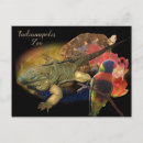 Zoek naar reptiel briefkaarten Dierentuin