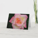 Zoek naar diana posters Roze