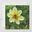 Zoek naar dahlia kaarten Tuin