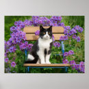 Zoek naar katten tuin posters Voor kinderen