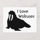 Zoek naar walrus briefkaarten Natuur