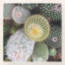 Zoek naar cactussen onderzetters Groen