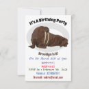 Zoek naar walrus briefkaarten Ocean