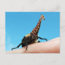 Zoek naar kevers briefkaarten Dieren