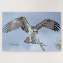 Zoek naar roofvogels puzzels Wild