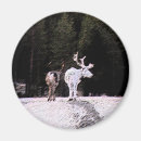 Zoek naar lapland magneten Rendier