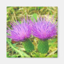 Zoek naar distel magneten Voor iedereen